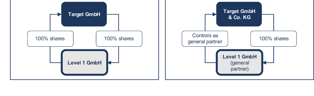 Circular shareholding (Target GmbH and Level 1 GmbH holding 100% of each other) and a GmbH & Co. KG whose general partner is held by the partnership